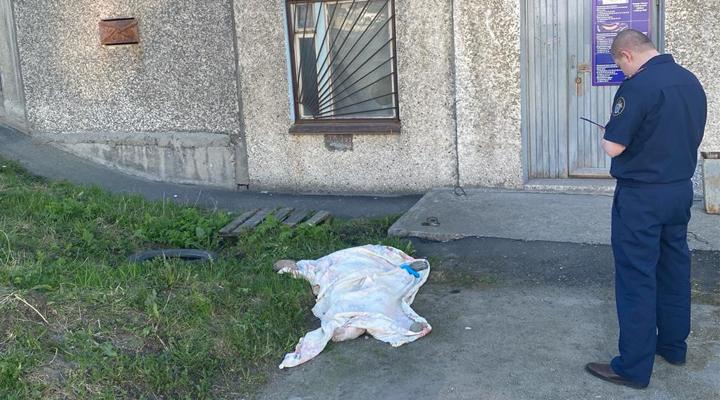 На улице Скальной в Мурманске насмерть разбилась женщина